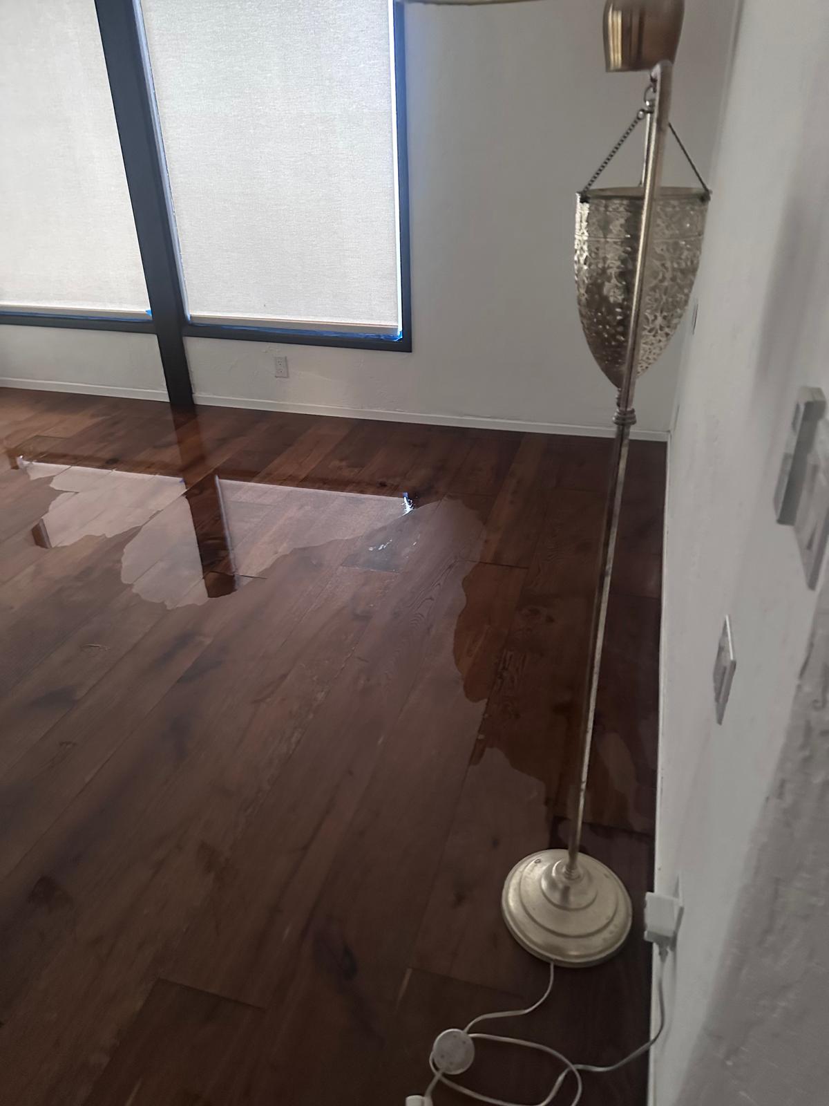 ​Water Damage Restoration Pasadena
